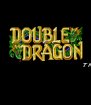 Double Dragon (Sega Game Gear (SGC))